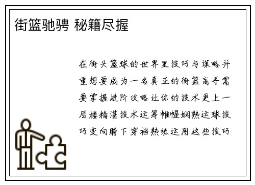 街篮驰骋 秘籍尽握